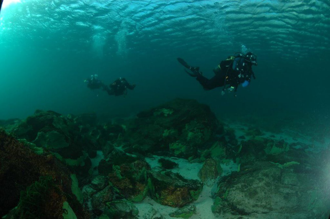Мир подводной глубине